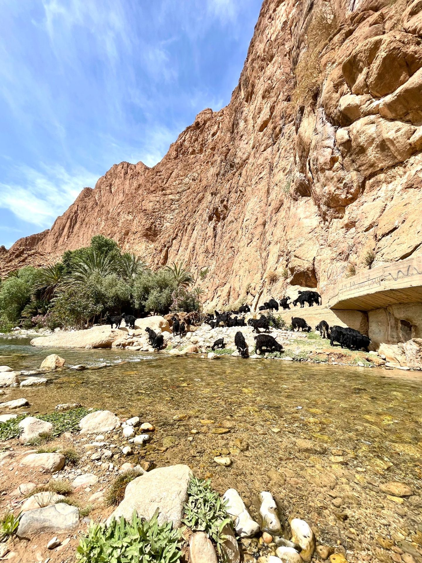 Tour di 4 giorni nel deserto del Marocco