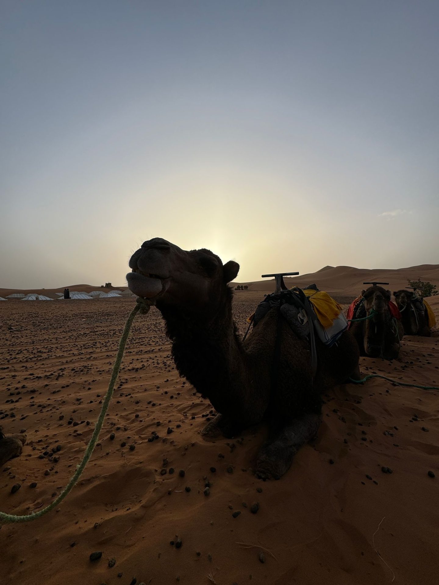 Tour deserto Marocco 3 giorni da Fes