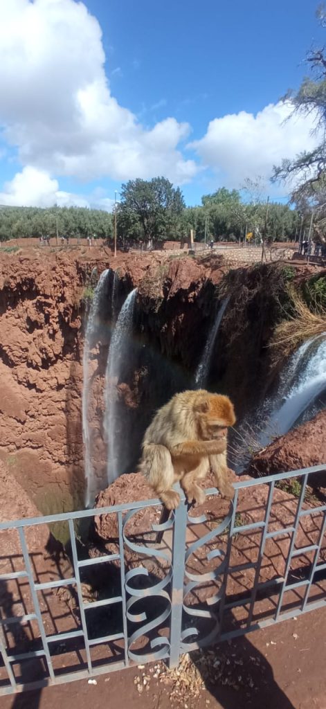 Cascate Ouzoud Marrakech