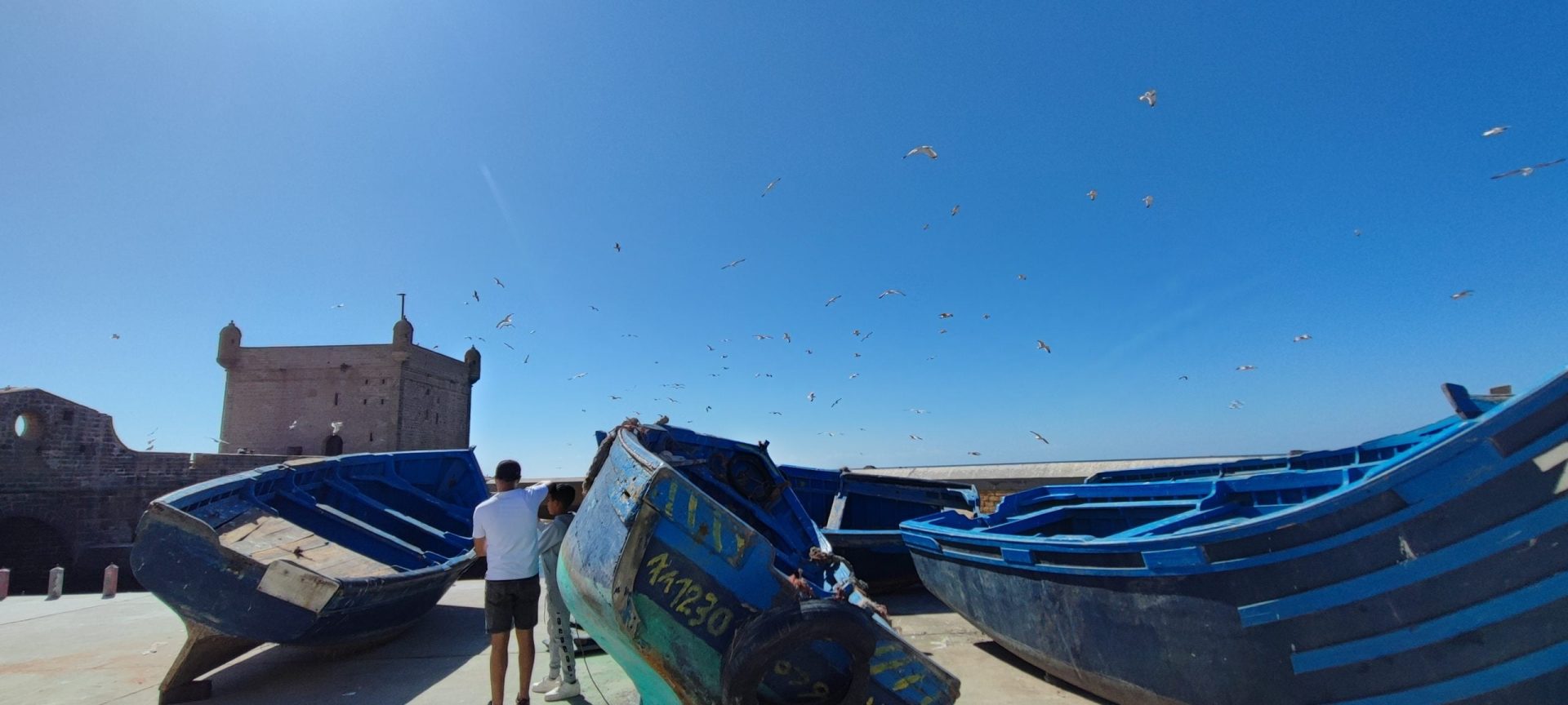 Tour Essaouira da Marrakech